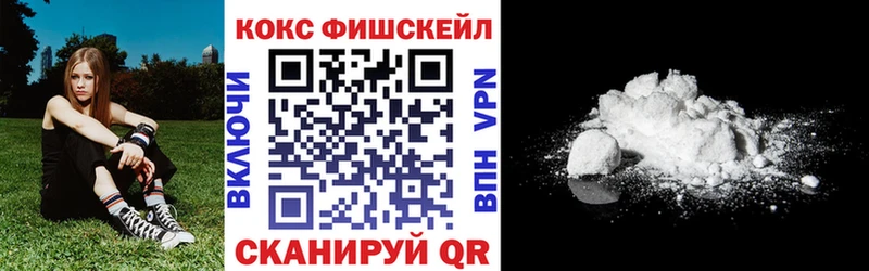 сколько стоит  Жердевка  КОКАИН Fish Scale 