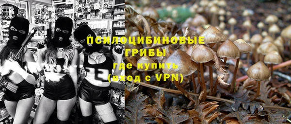 МДПВ Иннополис