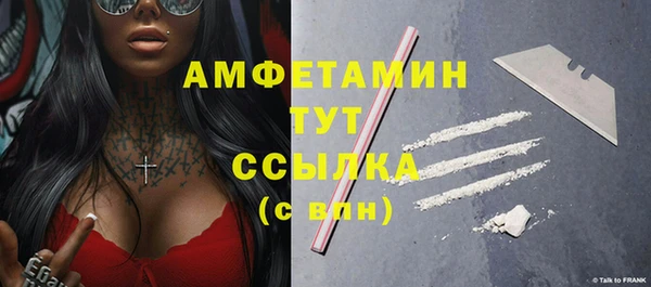 молекула духа Инсар