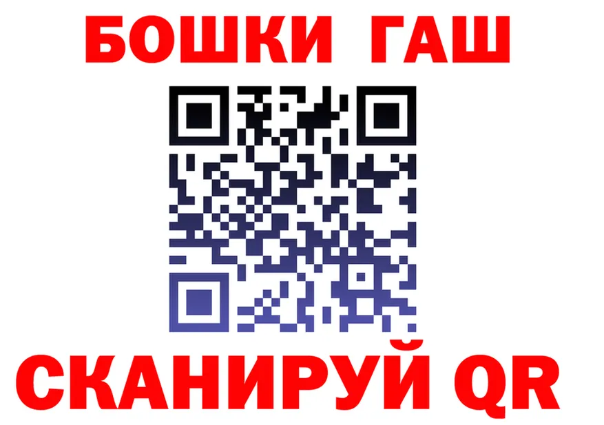 ГАШ Premium вход маркетплейс omg Жердевка