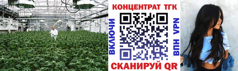Дистиллят ТГК концентрат  кракен зеркало  Жердевка  продажа наркотиков 