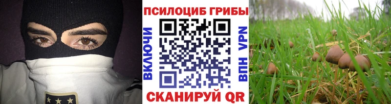 Галлюциногенные грибы мухоморы  Жердевка 