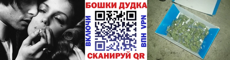Конопля MAZAR  Жердевка 